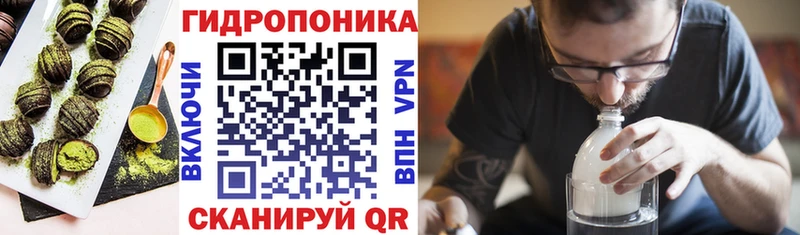 KRAKEN вход  Урюпинск  Печенье с ТГК конопля 
