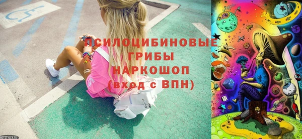 PSILOCYBIN Алексин